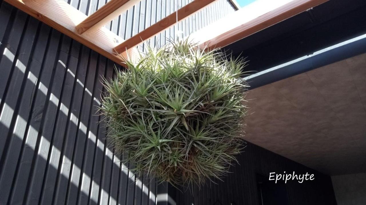 Epiphytes Et Succulentes Apartment Paimpol Exterior foto
